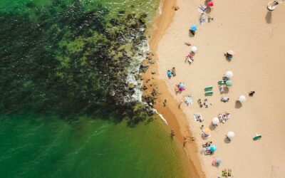 Artículo de prueba 6