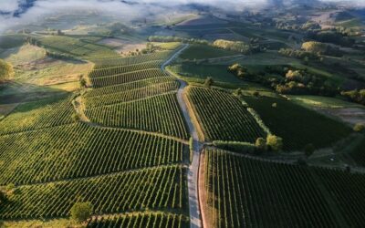 Artículo de prueba 2